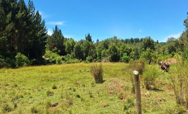 IMPERDIBLE 6 HECTÁREAS  AGRO GANADERIA O INMOBILIARIO