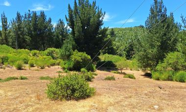 IMPERDIBLE 6 HECTÁREAS  AGRO GANADERIA O INMOBILIARIO