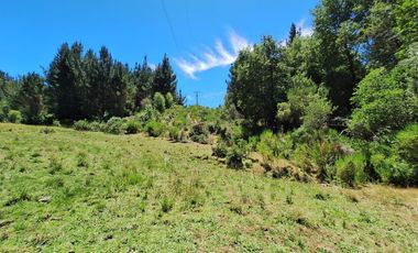 IMPERDIBLE 6 HECTÁREAS  AGRO GANADERIA O INMOBILIARIO