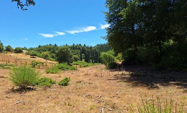 IMPERDIBLE 6 HECTÁREAS  AGRO GANADERIA O INMOBILIARIO