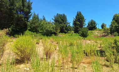 IMPERDIBLE 6 HECTÁREAS  AGRO GANADERIA O INMOBILIARIO