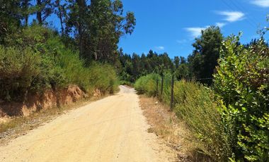 IMPERDIBLE 6 HECTÁREAS  AGRO GANADERIA O INMOBILIARIO