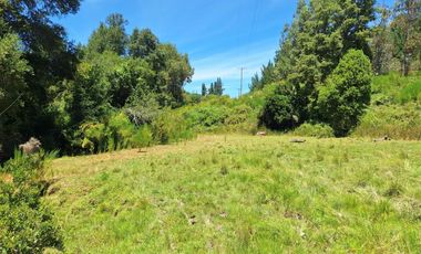 IMPERDIBLE 6 HECTÁREAS  AGRO GANADERIA O INMOBILIARIO