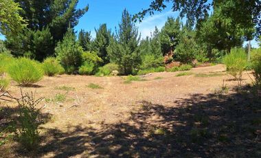 IMPERDIBLE 6 HECTÁREAS  AGRO GANADERIA O INMOBILIARIO