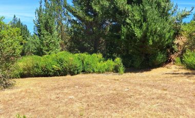 IMPERDIBLE 6 HECTÁREAS  AGRO GANADERIA O INMOBILIARIO