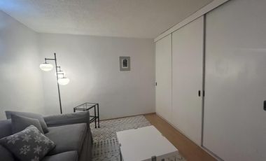 Departamento 3 Rec. y Terraza Privada, Amueblado en Polanco