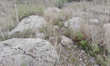 Terreno para extraer materiales para la construccion Guadalupe Victoria Puebla