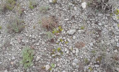 Terreno para extraer materiales para la construccion Guadalupe Victoria Puebla