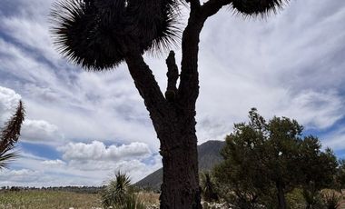 Terreno para extraer materiales para la construccion Guadalupe Victoria Puebla