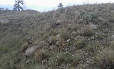 Terreno para extraer materiales para la construccion Guadalupe Victoria Puebla