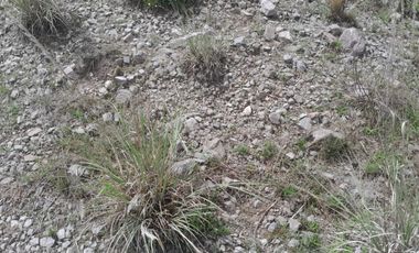 Terreno para extraer materiales para la construccion Guadalupe Victoria Puebla