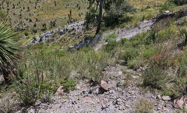 Terreno para extraer materiales para la construccion Guadalupe Victoria Puebla