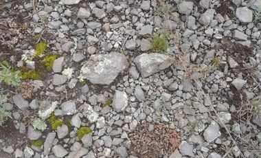 Terreno para extraer materiales para la construccion Guadalupe Victoria Puebla