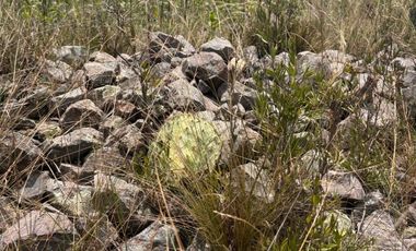 Terreno para extraer materiales para la construccion Guadalupe Victoria Puebla