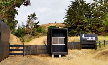 MAQUICILLO, MATANZAS, PUPUYA