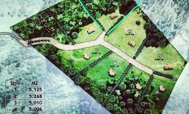 MAQUICILLO, MATANZAS, PUPUYA