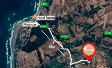 MAQUICILLO, MATANZAS, PUPUYA