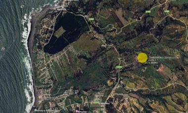 MAQUICILLO, MATANZAS, PUPUYA