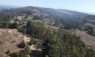 MAQUICILLO, MATANZAS, PUPUYA