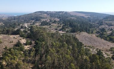 MAQUICILLO, MATANZAS, PUPUYA
