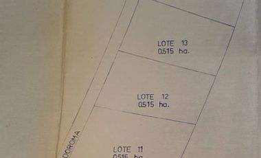 CONDOROMA AL LLEGAR A LOS VILLARES