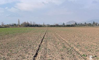 CONDOROMA AL LLEGAR A LOS VILLARES