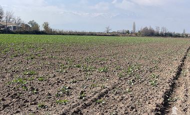 CONDOROMA AL LLEGAR A LOS VILLARES