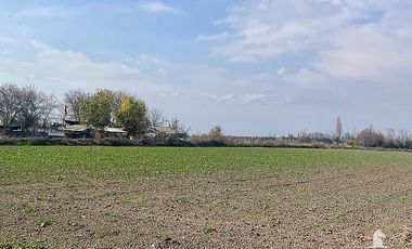 CONDOROMA AL LLEGAR A LOS VILLARES