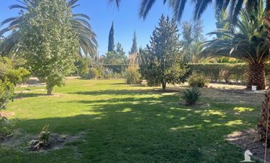 AVENIDA ALESSANDRI 9000