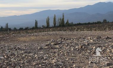 TERRENO INDUSTRIAL DE 5000 M2 CERCANO A PUERTO TERRESTRE LOS