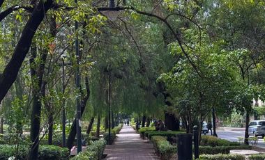 Lindo Departamento en Parque Lincoln