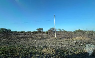 Venta 17 lotes industriales Tecozautla Hidalgo