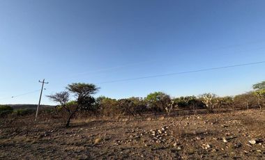 Venta 17 lotes industriales Tecozautla Hidalgo