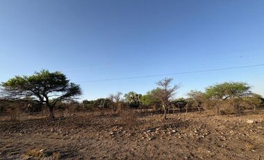 Venta 17 lotes industriales Tecozautla Hidalgo