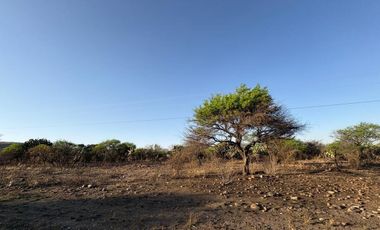 TERRENO INDUSTRIAL VENTA TECOZAUTLA HIDALGO