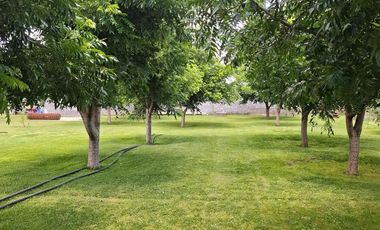 Quinta en Venta Ejido Santa Rita Caohuila