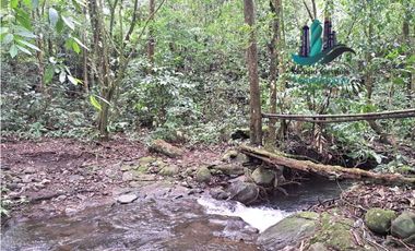 VENDO FINCA DE 2HECTAREAS +7613MTS CON.RIO.Y QUEBRADA