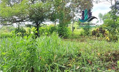 VENDO FINCA DE 2HECTAREAS +7613MTS CON.RIO.Y QUEBRADA