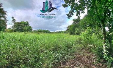 VENDO FINCA DE 2HECTAREAS +7613MTS CON.RIO.Y QUEBRADA