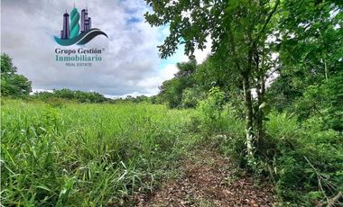 VENDO FINCA DE 2HECTAREAS +7613MTS CON.RIO.Y QUEBRADA