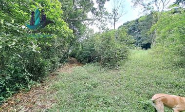 VENDO FINCA DE 2HECTAREAS +7613MTS CON.RIO.Y QUEBRADA