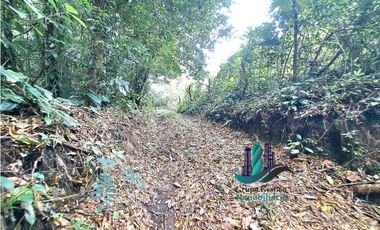 VENDO FINCA DE 2HECTAREAS +7613MTS CON.RIO.Y QUEBRADA