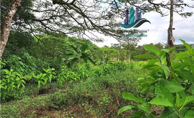 VENDO FINCA DE 2HECTAREAS +7613MTS CON.RIO.Y QUEBRADA