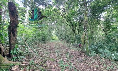 VENDO FINCA DE 2HECTAREAS +7613MTS CON.RIO.Y QUEBRADA