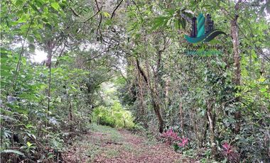 VENDO FINCA DE 2HECTAREAS +7613MTS CON.RIO.Y QUEBRADA