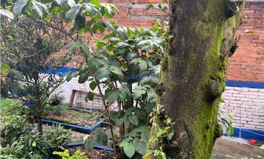 VENDO CASA LOTE EN BUENOS AIRES