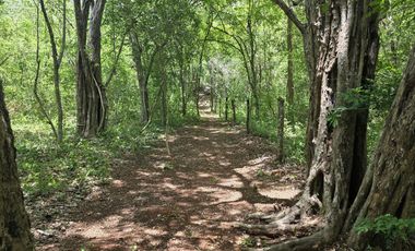 Rancho en  Ebtún, Valladolid