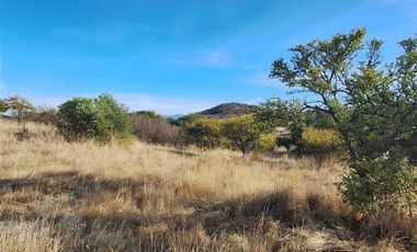 Parcela en Venta en Camino Cerro de la Virgen 50 LT