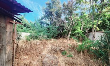 Sitio en Venta en ARMIJO 84