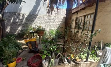 VENTA CASA CON 2 LOCALES + TERRAZA R. MEJÍA SUR